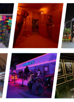 Untitled design 7 310x430