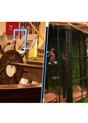 Untitled design 12 310x430